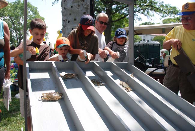 crab-race-0087
