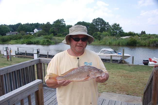 croaker-1002
