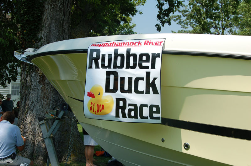 ducks-1254
