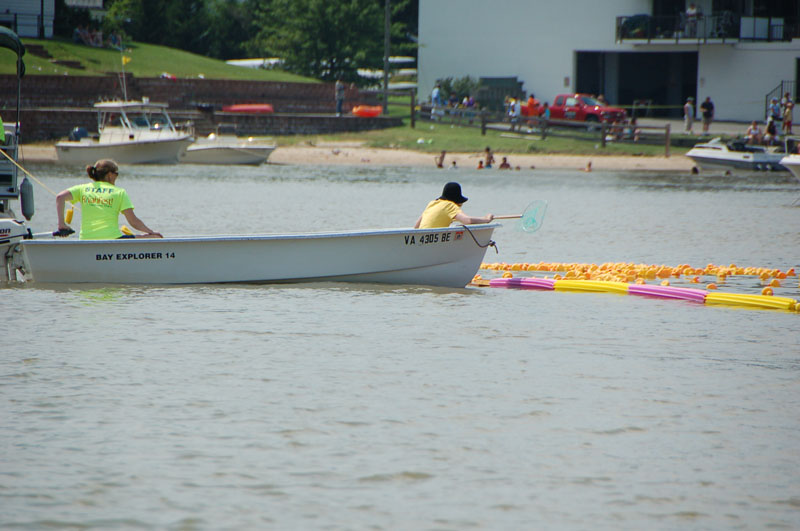 ducks-1406