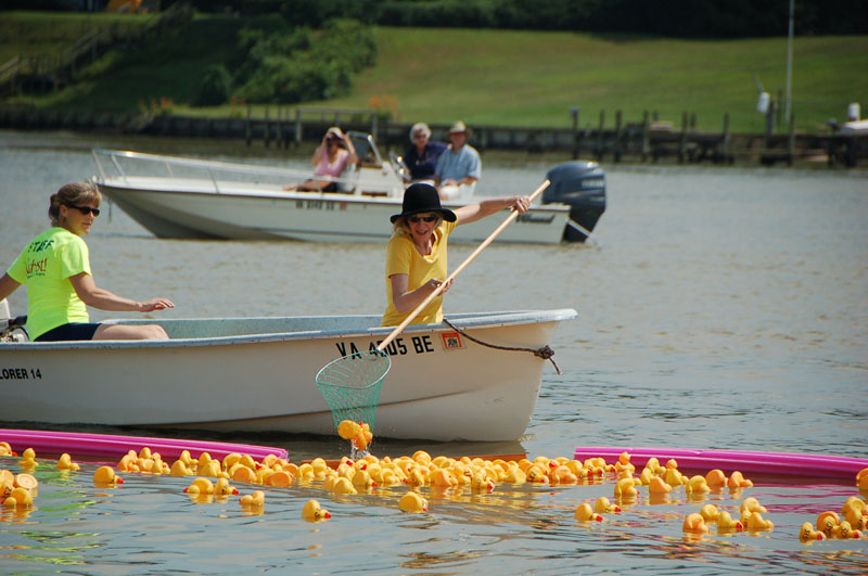 ducks-1428