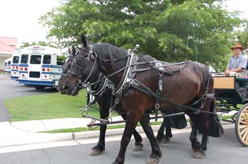 carriage-1085