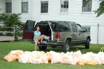 ducks-1200