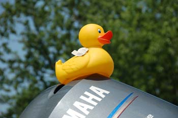 ducks-1252