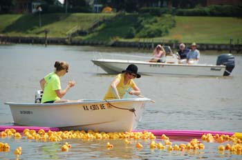 ducks-1432