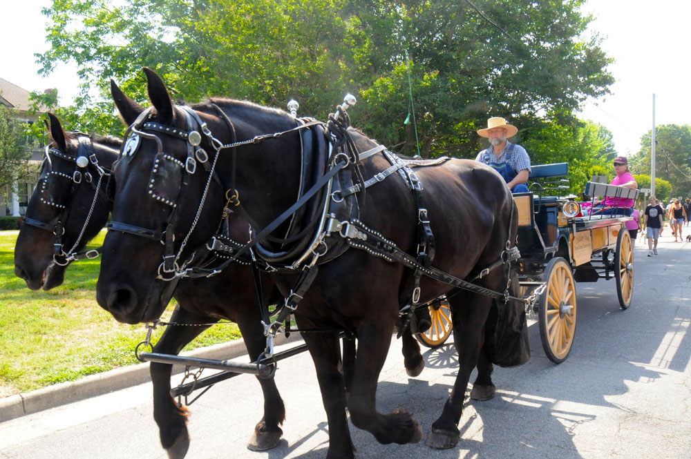 rivahfest-2011-0323