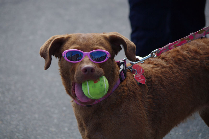rf2012-dawn-0616