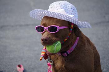 rf2012-dawn-0624